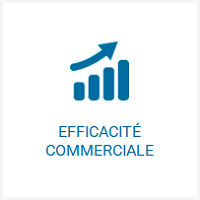 Expertises - Efficacité commerciale