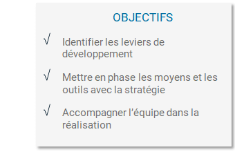 Objectifs efficacité commerciale