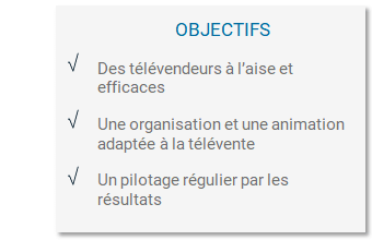 Objectifs de la télévente