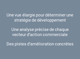 Résultats d'un audit commercial