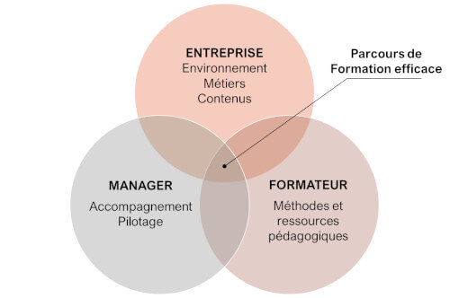 mieux former avec la cocréation du programme