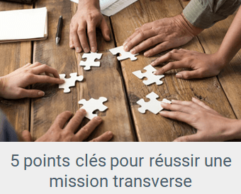 Lien article Réussir une mission transverse