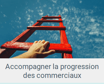 Lien article Accompagner la progression des commerciaux